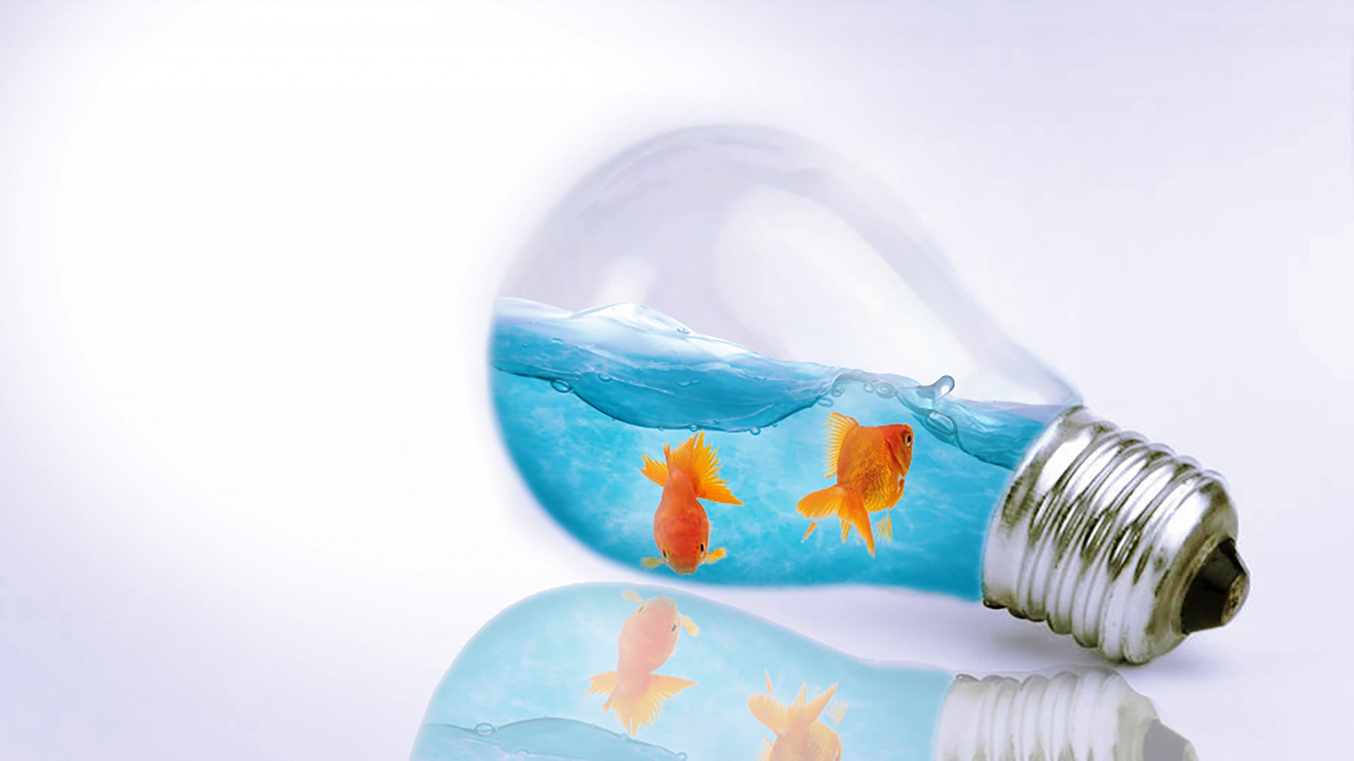 燈泡創(chuàng)意設(shè)計高清桌面壁紙集錦